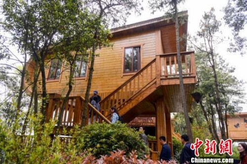 造型别致、与自然和谐相融的木屋酒店。 杨华峰 摄 造型别致、与自然和谐相融的木屋酒店。 杨华峰 摄