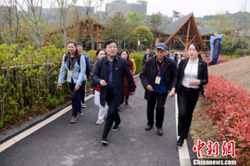 海外华媒走进长沙浔龙河村追寻当代“山乡巨变”故事。 杨华峰 摄 海外华媒走进长沙浔龙河村追寻当代“山乡巨变”故事。 杨华峰 摄