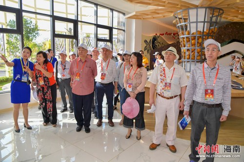 4月2日,200多名在海南文昌参加2018年第七届海南文昌南洋文化节的海内外乡亲,前往春光椰子王国、昌铺旅游公路、铺前跨海大桥、琼北大草原、文昌中学和清华大学附属中学文昌学校项目,了解文昌近两年在食品加工、交通基础设施、旅游和教育方面的建设发展。(骆云飞 摄影) 4月2日,200多名在海南文昌参加2018年第七届海南文昌南洋文化节的海内外乡亲,前往春光椰子王国、昌铺旅游公路、铺前跨海大桥、琼北大草原、文昌中学和清华大学附属中学文昌学校项目,了解文昌近两年在食品加工、交通基础设施、旅游和教育方面的建设发展。(骆云飞 摄影)