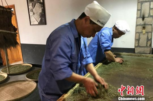 51岁的向书兰双手不停地揉捻着茶团 董晓斌 摄 51岁的向书兰双手不停地揉捻着茶团 董晓斌 摄