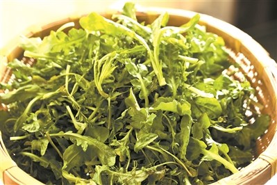 野荠菜 野荠菜