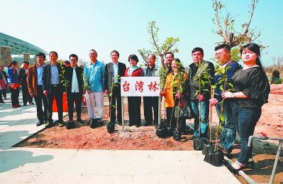 台胞在湖石淉水生态公园种下一片“台湾林”。 台胞在湖石淉水生态公园种下一片“台湾林”。