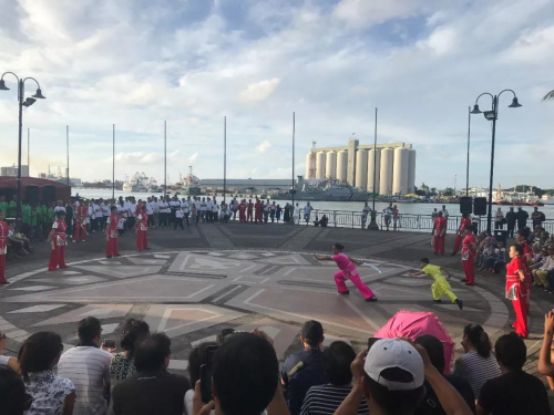 毛里求斯世界太极日活动在路易港举行