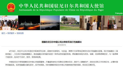 图片截取自中国驻尼日尔大使馆网站