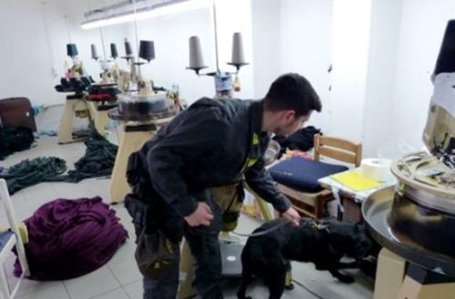 意大利警察携带警犬检查华人工厂。来源:欧联网 意大利警察携带警犬检查华人工厂。来源:欧联网