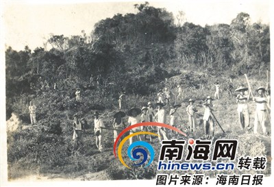 海南兴隆华侨农场早期开发场景。