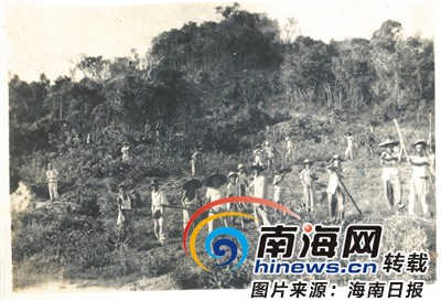 海南兴隆华侨农场早期开发场景。 海南兴隆华侨农场早期开发场景。