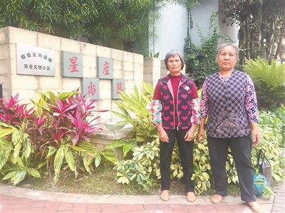 李红阿姨和孔兰阿姨在菜地。 李红阿姨和孔兰阿姨在菜地。