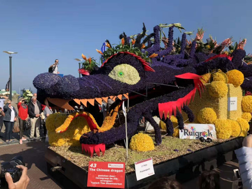 图片来源:中国驻荷兰大使馆网站 图片来源:中国驻荷兰大使馆网站