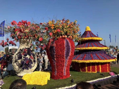 图片来源:中国驻荷兰大使馆网站 图片来源:中国驻荷兰大使馆网站