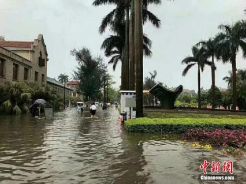 5月7日，厦门市遭暴雨袭击，厦门市气象台5月7日14时55分变更发布暴雨橙色预警信号：受西南暖湿气流影响，过去3小时厦门市岛内部分镇街区已出现超过100毫米以上强降水。图为厦大西门内。 陈中坚 摄