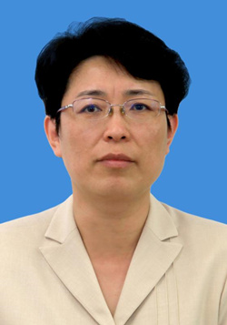 隋军 (图片来源:中国侨联网站) 隋军 (图片来源:中国侨联网站)