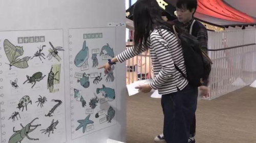 藤本和朋友认读汉字。(视频截图) 藤本和朋友认读汉字。(视频截图)