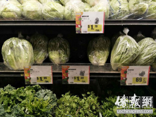 超市里的蔬菜。(美国侨报网/曹同庆 摄) 超市里的蔬菜。(美国侨报网/曹同庆 摄)