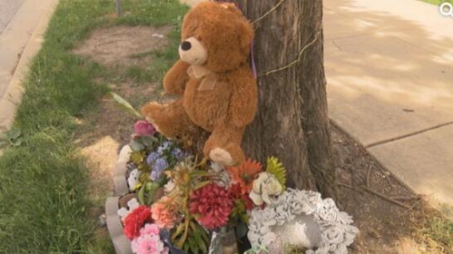 章莹颖失踪后，许多人在她失踪前出现的公交车站放鲜花和熊仔。(图源：美国中文网)