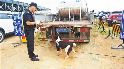 文昌市公安缉毒人员带着缉毒犬开展检查工作。 文昌市公安缉毒人员带着缉毒犬开展检查工作。