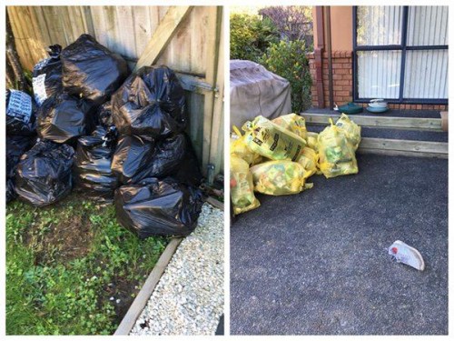 租客扔在院子里的垃圾(新西兰天维网)