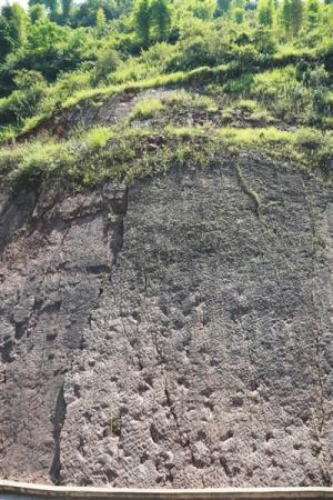 并行的足迹从地面延绵到山顶。