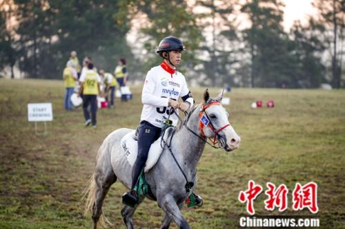 选手在比赛中。国际马联供图 夏原浦摄 选手在比赛中。国际马联供图 夏原浦摄