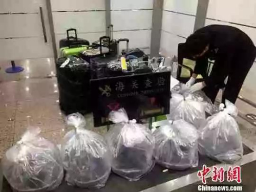 资料图:海关查验物品 资料图:海关查验物品