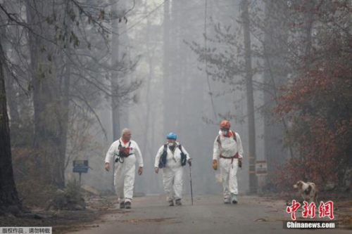 截至目前“坎普”山火造成的死亡人数升至50人,是加州历史上致死人数最多的山火。 截至目前“坎普”山火造成的死亡人数升至50人,是加州历史上致死人数最多的山火。