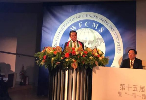 中东欧中医药学会会长陈震博士介绍匈牙利筹备情况 中东欧中医药学会会长陈震博士介绍匈牙利筹备情况