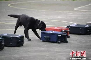 资料图,图文无关。 资料图,图文无关。