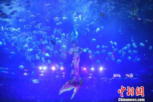图为“美人鱼”在表演中。 陈超 摄 图为“美人鱼”在表演中。 陈超 摄
