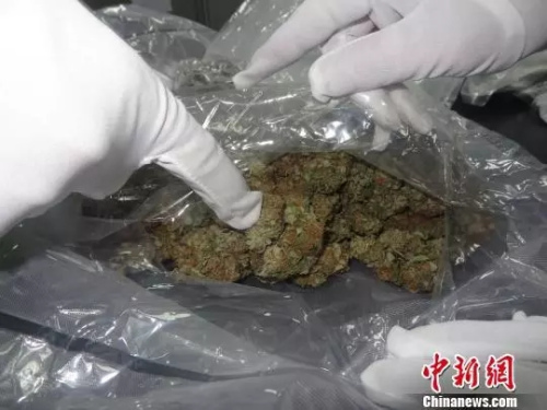 资料图：大麻。(图文无关)