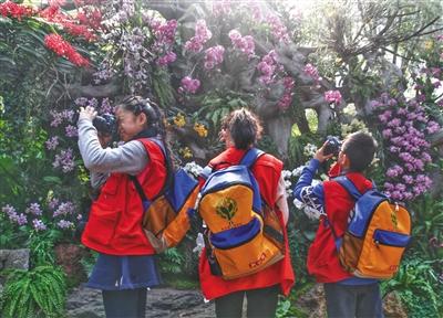 昨日（14日），植物馆热带植物温室内，新京报小记者摄影组正在“兰花墙”前取景拍摄。新京报记者 尹亚飞 摄