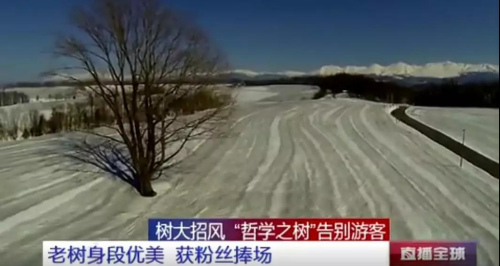 视频截图 视频截图