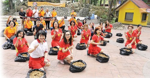 为传承种姜文化，马来西亚客家文化协会槟城分会于日前首办一场集体种姜活动，近50人现场共同学习种姜。（来源：马来西亚光华网）