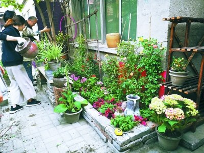 中央美院师生和居民一起建设微花园。本报记者 于丽爽摄 中央美院师生和居民一起建设微花园。本报记者 于丽爽摄