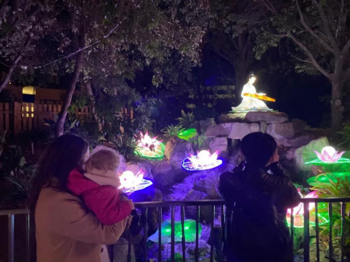 游客在花灯前观赏留影。(法国《欧洲时报》/黄冠杰 摄) 游客在花灯前观赏留影。(法国《欧洲时报》/黄冠杰 摄)