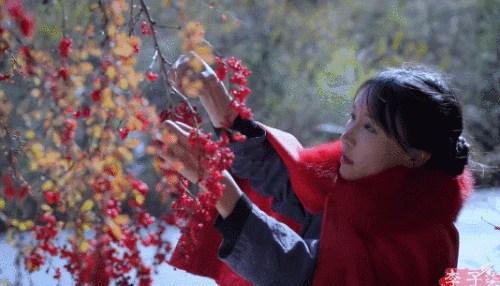 李子柒视频截图 李子柒视频截图