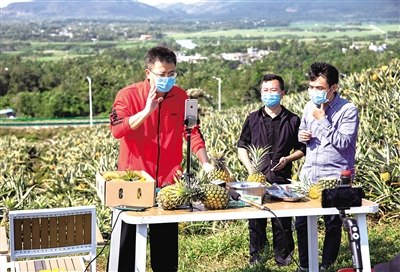 万宁市委书记贺敬平(左)网络直播帮助农民卖菠萝。