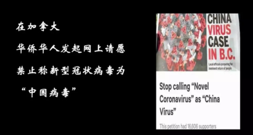 视频截图(视频来源:新华网) 视频截图(视频来源:新华网)