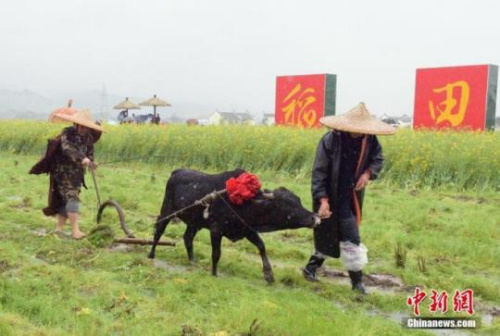 资料图:正值中国二十四节气的春分,湖南省安仁县“赶分社”祭祀开耕活动在安仁县稻田公园举行。<a target='_blank' href='http://www.chinanews.com/'>中新社</a>记者 唐志卓 摄 资料图:正值中国二十四节气的春分,湖南省安仁县“赶分社”祭祀开耕活动在安仁县稻田公园举行。<a target='_blank' href='http://www.chinanews.com/'>中新社</a>记者 唐志卓 摄