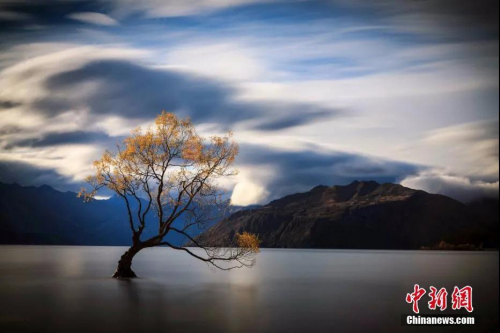 资料图：新西兰瓦纳卡湖LakeWanaka。<a target='_blank' href='http://www.chinanews.com/'>中新社</a>发 张钟明 摄