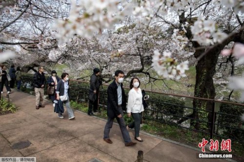 当地时间2020年3月22日，日本东京上野公园樱花绽放，吸引不少游人在樱花林间漫步、野餐。