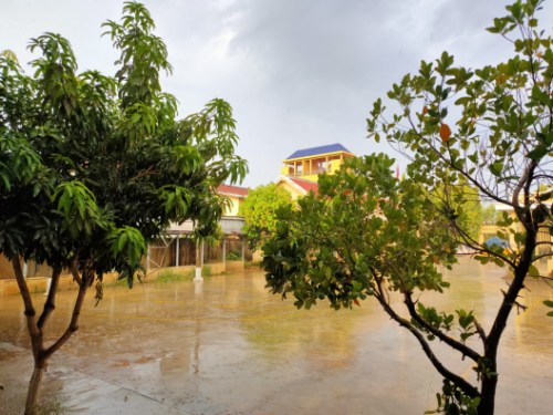 雨后的柬埔寨。（作者供图）