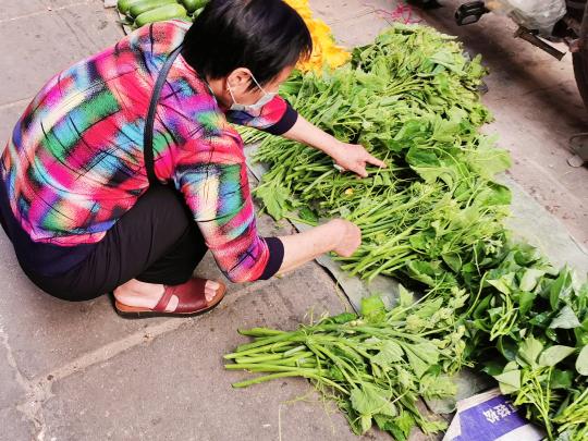 市民在选购嫩瓜蔓　李晓春　摄