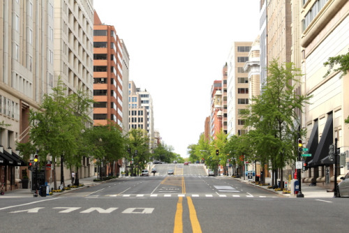 华盛顿市区的道路清净，甚至能清晰看见路面的高低起伏。(记者张筠 / 摄影)