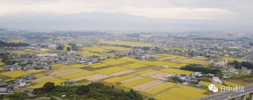 电影画面。(日中通信)