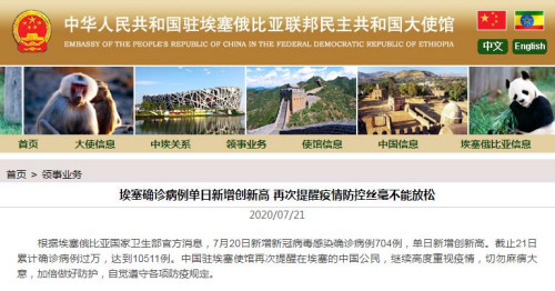 中国驻埃塞俄比亚大使馆网站截图。