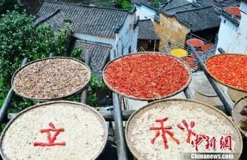 江西婺源立秋节气晒秋忙。方华彬 摄 江西婺源立秋节气晒秋忙。方华彬 摄