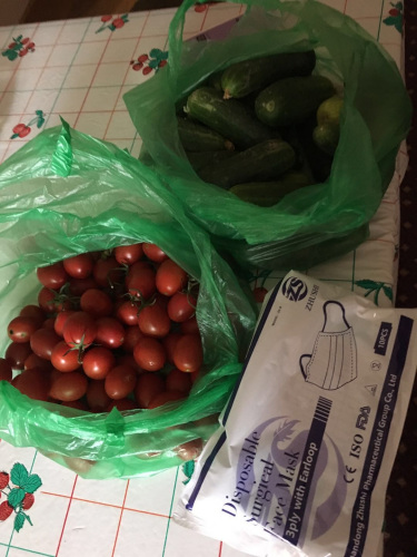 吉尔吉斯极便利平台和吉国爱心人士为在吉中国同胞提供的“爱心蔬菜包”和防疫物资。