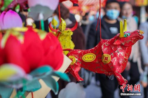 南京传统手扎花灯集中亮相“闹新春”