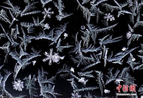 德国一地区遭遇寒冷天气 玻璃结出冰花晶莹美丽