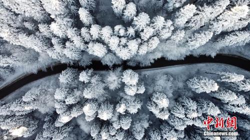 土耳其博卢树木遭积雪覆盖宛如画卷